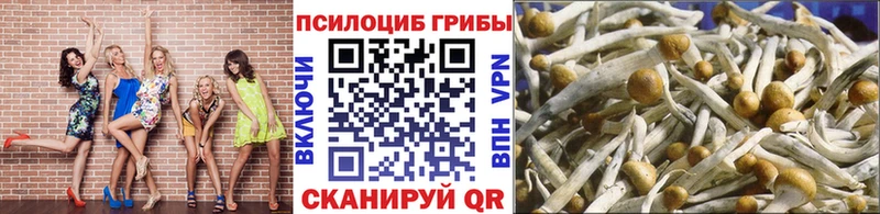 кракен ONION  хочу   Гремячинск  Галлюциногенные грибы мицелий 
